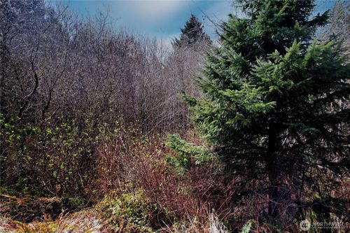 31 Ocean Beach Rd, Pacific Beach, WA, 98571 | Card Image