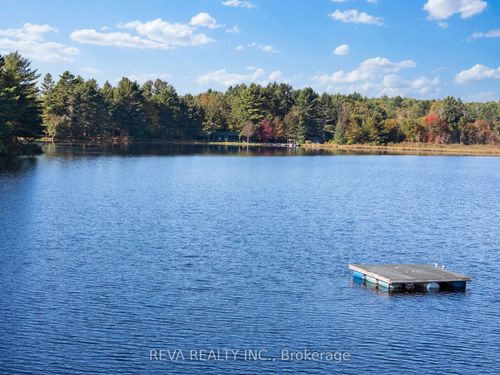 368 Addington 6 Rd, Cloyne, ON, K0H1K0 | Card Image