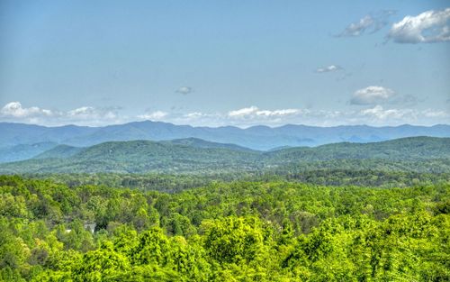 319 Chicory Dr E, Blairsville, GA, 30512-1167 | Card Image