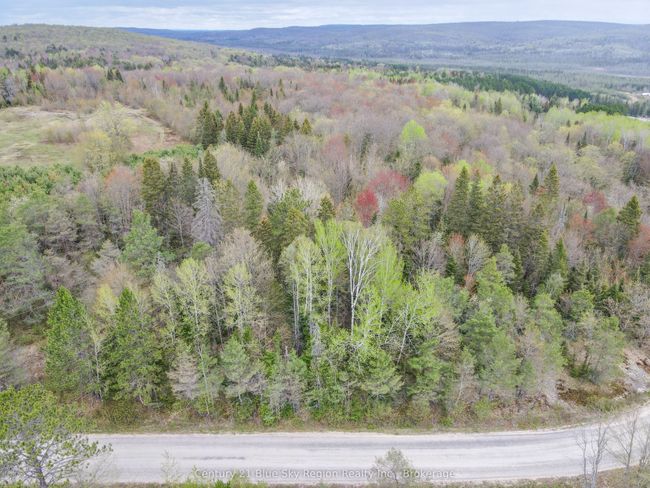 Lot 8 Lindsay Hill Road, Home with 0 bedrooms, 0 bathrooms and null parking in Parry Sound Remote Area ON | Image 5