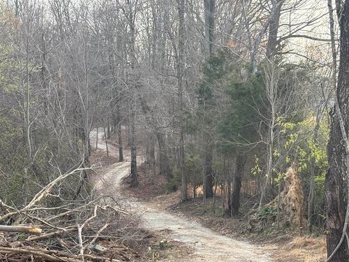 2141 Union Chapel Road, Scottsville, KY, 42164 | Card Image