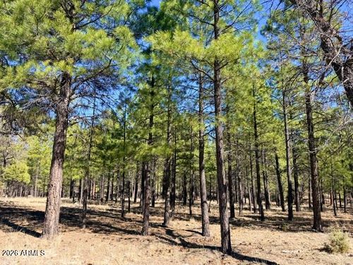 171-1947 Pine Canyon Drive, Happy Jack, AZ, 86024 | Card Image