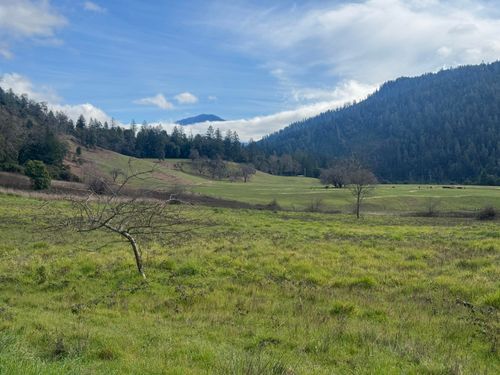 176 Cherry Tree Lane, Salyer, CA, 95563 | Card Image