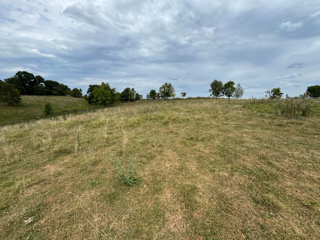 2076 Bald Hill Rd, Home with 5 bedrooms, 1 bathrooms and null parking in Hillsboro KY | Image 34