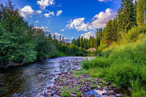 002 Route 83, Seeley Lake, MT, 59868 | Card Image