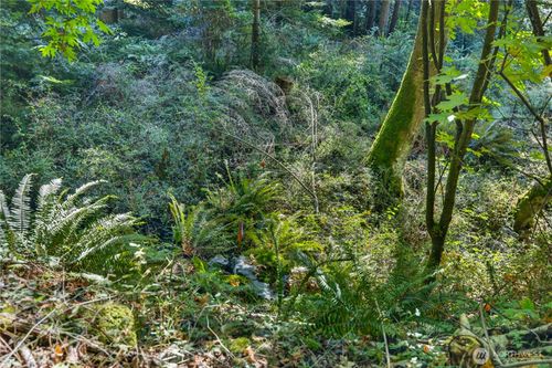 0 NHN Woody Ln, Anacortes, WA, 98221 | Card Image