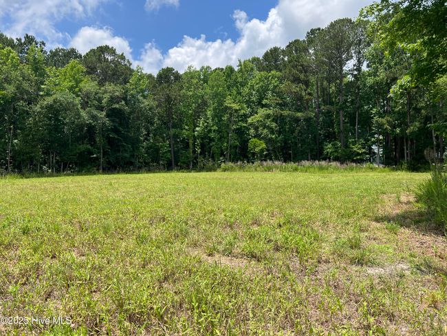 3330 Mccaskey Rd, Home with 0 bedrooms, 0 bathrooms and null parking in Williamston NC | Image 17