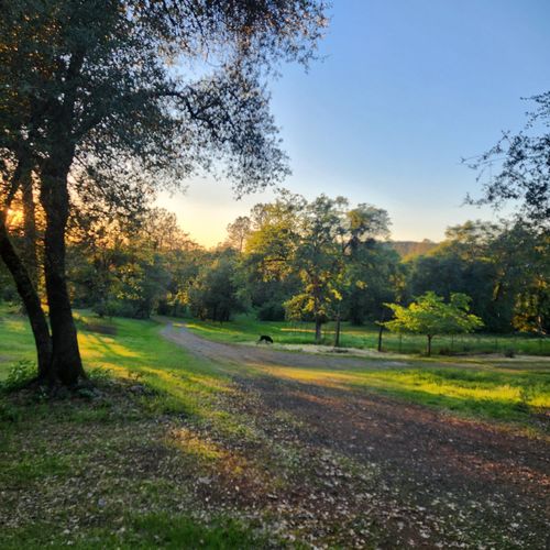 11541 Hernandos Hideaway, Penn Valley, CA, 95946-8950 | Card Image