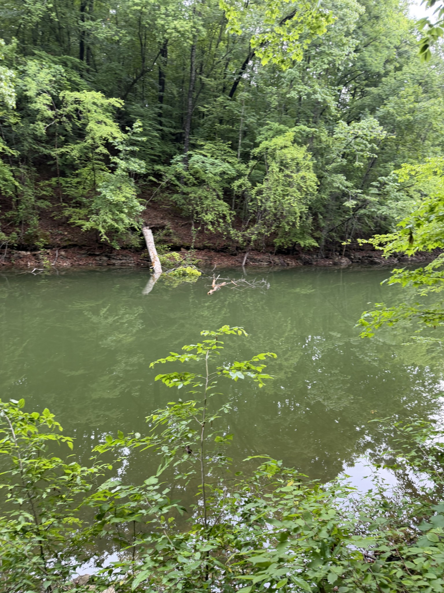 Land in Estill Springs 5