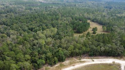 1365 Lot 6 Dairy Road, Home with 0 bedrooms, 0 bathrooms and null parking in Ridge Spring SC | Image 3