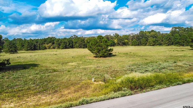 16078 Aniston Ln, Home with 0 bedrooms, 0 bathrooms and null parking in Flint TX | Image 18