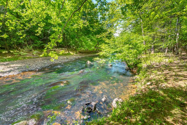 Little River View 03 | Image 50