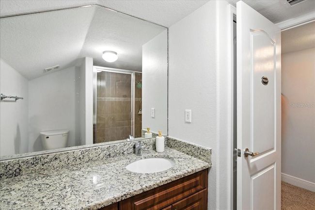 7310 S Shamrock Rd, House other with 4 bedrooms, 4 bathrooms and null parking in TAMPA FL | Image 71