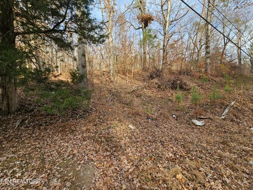 Lot 7 Smyrna Rd, Evensville, TN, 37332 | Card Image