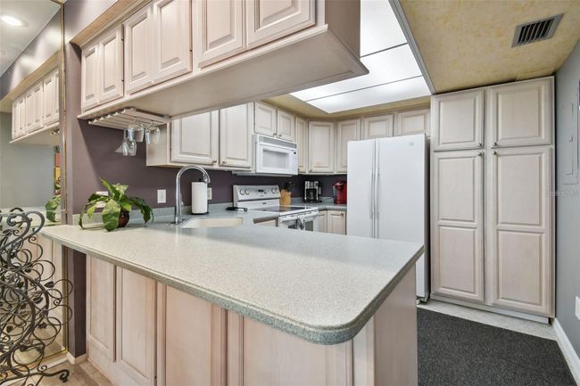 UNIT-5 - 20890 Negril Ct, Condo with 2 bedrooms, 2 bathrooms and null parking in LUTZ FL | Image 19