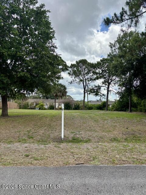 Land in Palm Bay 3