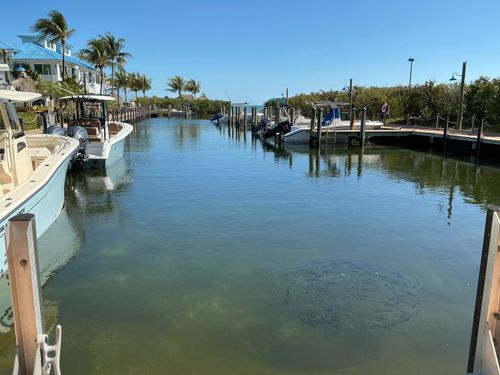 1415-500 Burton Dr, Tavernier, FL, 33070-3100 | Card Image