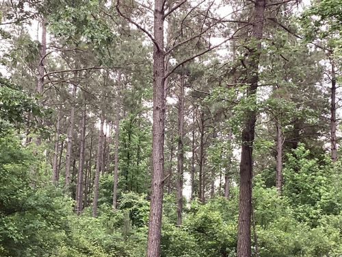 00 Us Highway 371 W, Prescott, AR, 71857 | Card Image