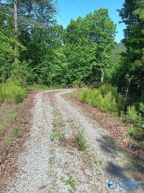 30 ACRES Norman St, Attalla, AL, 35954 | Card Image