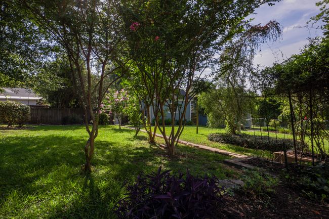 Back Yard View 1 | Image 26