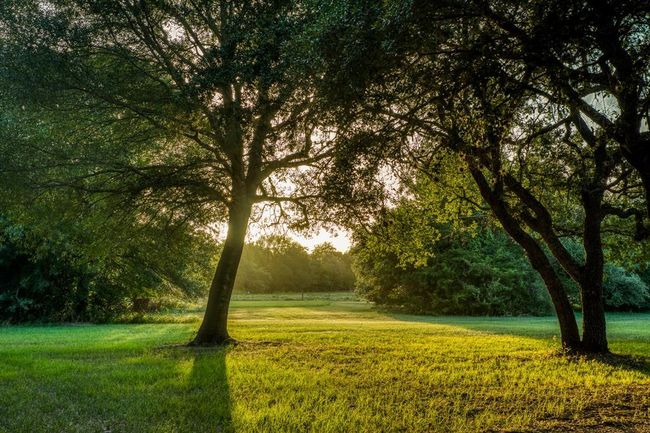 1585 Round Top Rd, Home with 6 bedrooms, 7 bathrooms and null parking in Round Top TX | Image 30