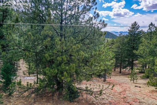 395 Wabash Ter, Cripple Creek, CO, 80813-9518 | Card Image