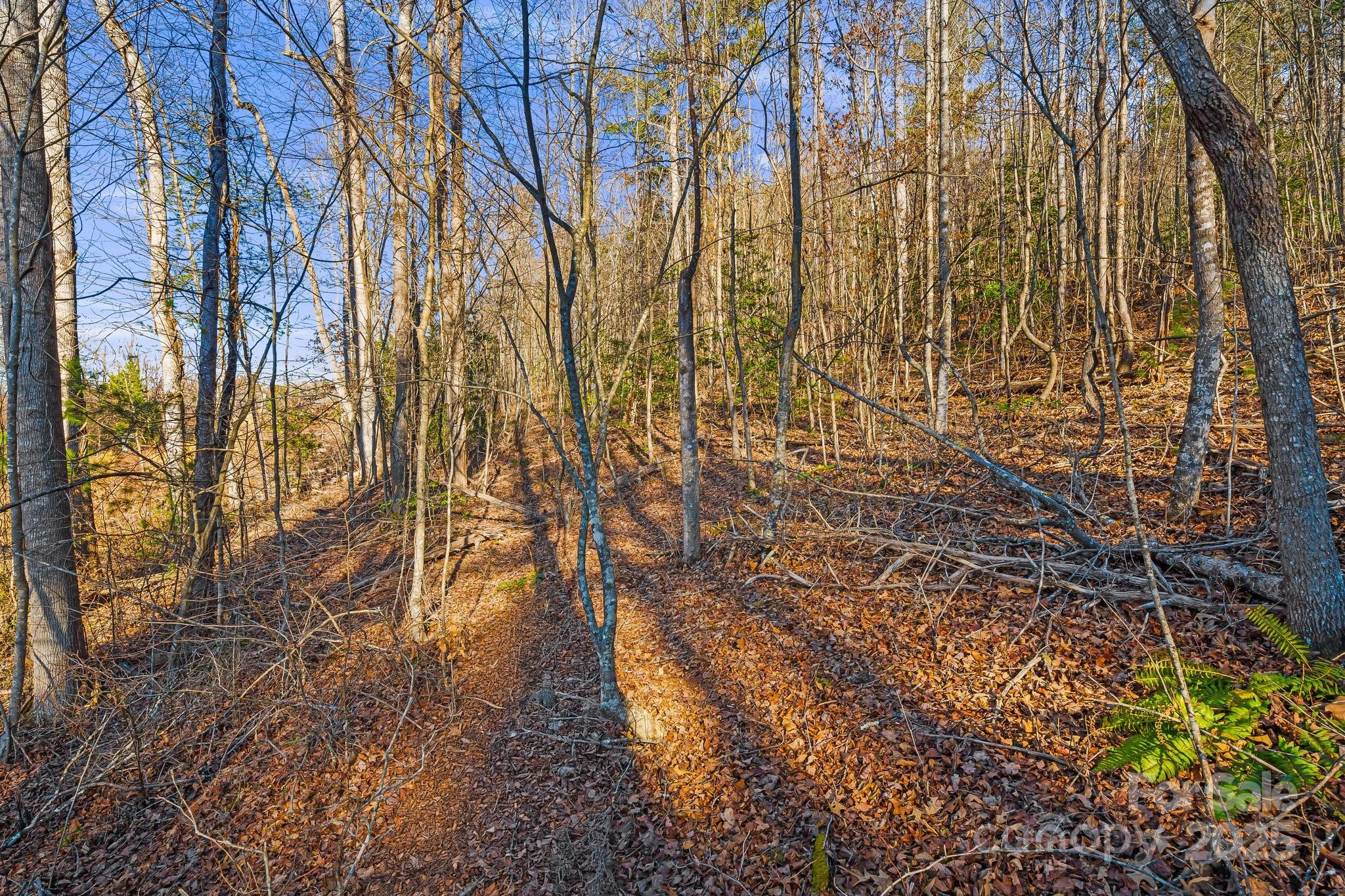 Land in Asheville 5