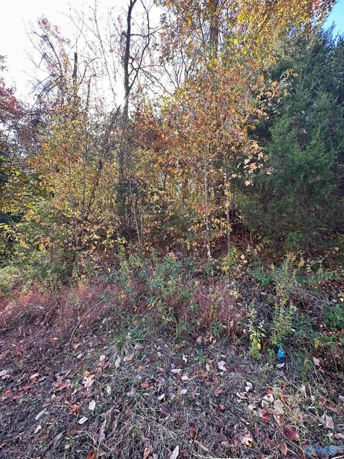 4604 Legacy Preserve Way Se, Brownsboro, AL, 35741-8904 | Card Image