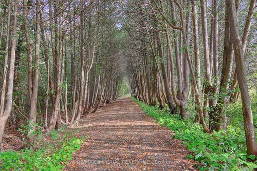 13231 Kennedy Rd, Stouffville, ON, L4A4B1 | Card Image