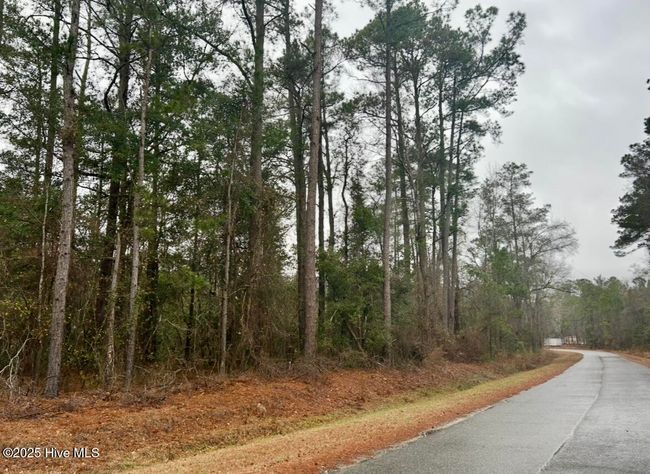 4 Near Keith Rd & Canetuck Rd Road, Home with 0 bedrooms, 0 bathrooms and null parking in Atkinson NC | Image 5