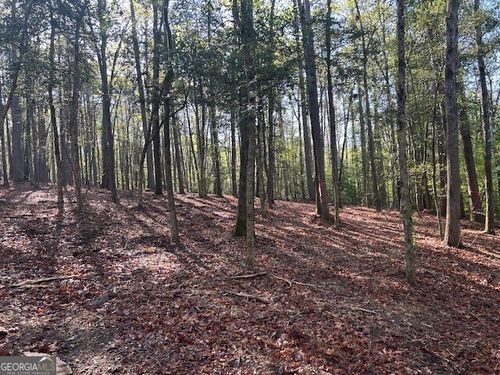 tract-3-0 Bullock Bridge Rd Sw, MONROE, GA, 30656 | Card Image