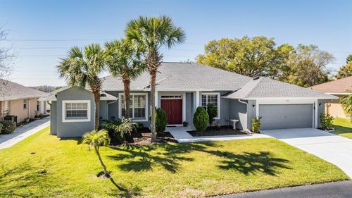 10216 Moshie Ln, SAN ANTONIO, FL, 33576-8900 | Card Image