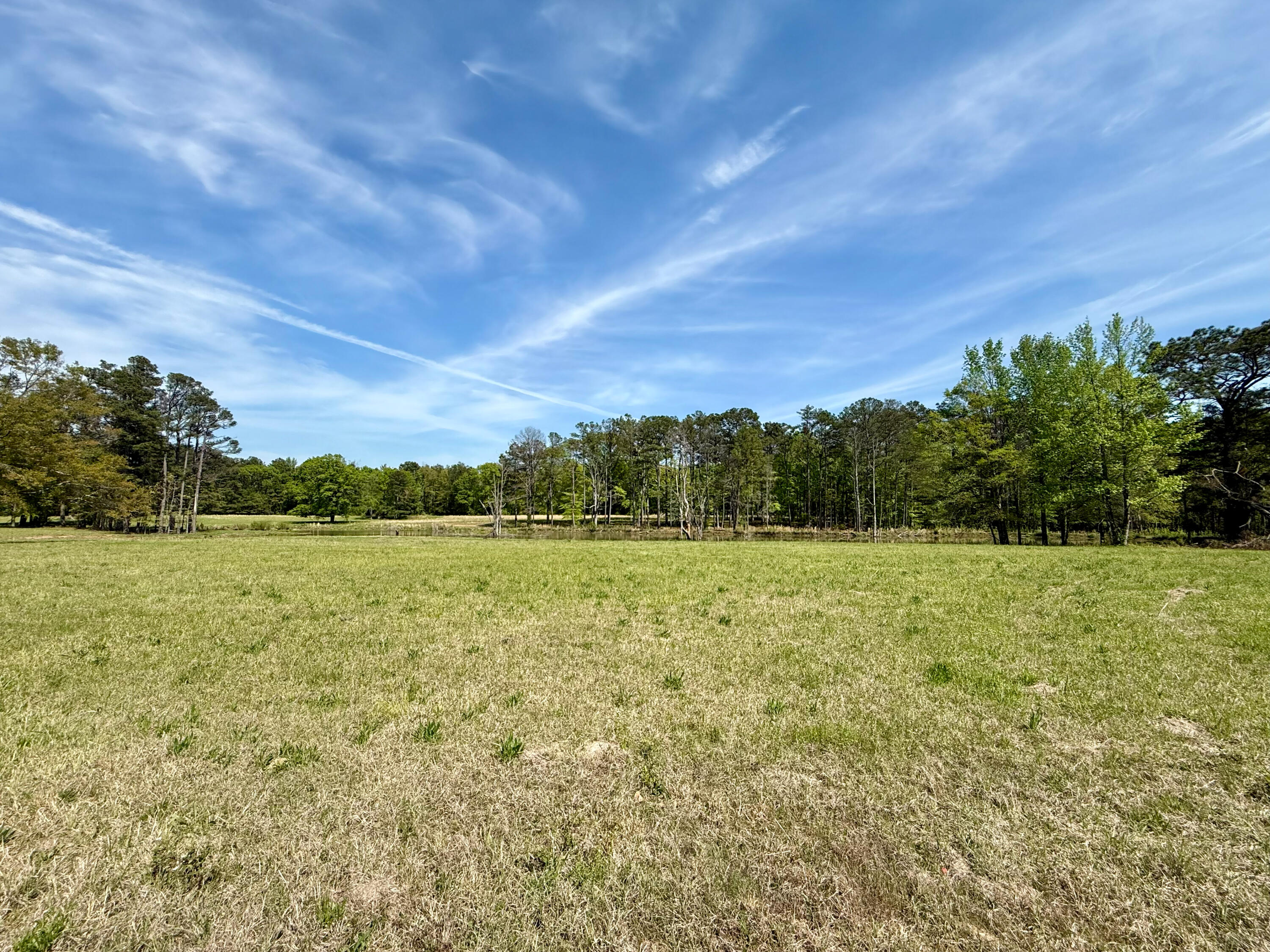 Land in Saltillo 2