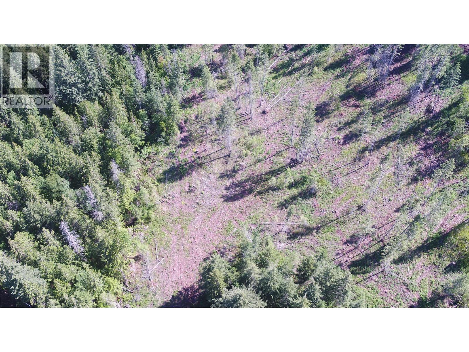Land in Vernon 4