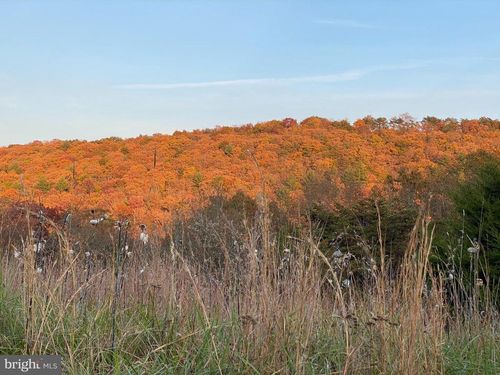 36 Parker Hollow Road, LOST RIVER, WV, 26810 | Card Image