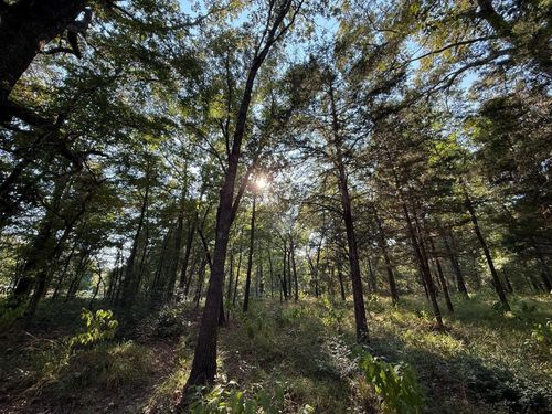 TBD County Road 2798, Mineola, TX, 75773 | Card Image