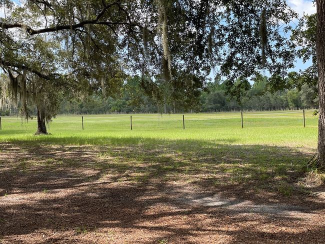 13050 Sw 67th Pl, House other with 2 bedrooms, 2 bathrooms and null parking in CEDAR KEY FL | Image 22