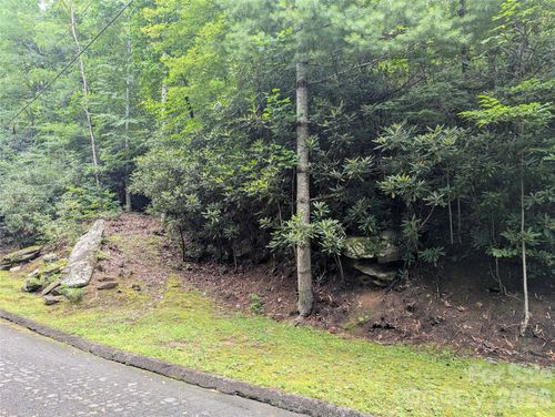 1426-99999 Maryland Pl, Black Mountain, NC, 28711 | Card Image