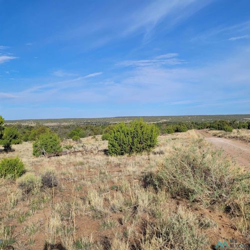 41-1 Indian Springs Rd, Quemado, NM, 87829-0000 | Card Image