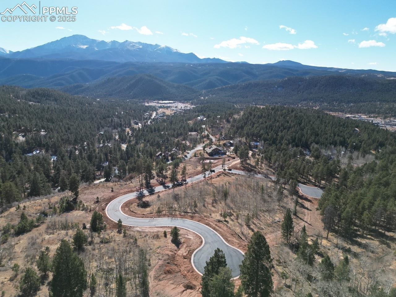 Land in Woodland Park 2