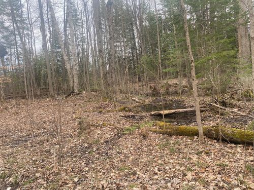 00 County Rd 44 Road, Edwardsburgh/Cardinal, ON, K0E1X0 | Card Image
