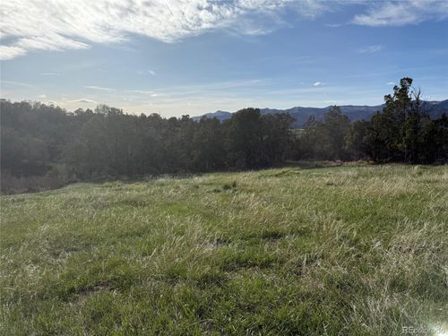 14495 N Scott Loop, Collbran, CO, 81624-6601 | Card Image