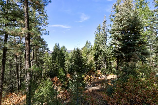 1341 Los Griegos Rd, House other with 2 bedrooms, 2 bathrooms and null parking in Jemez Springs NM | Image 27