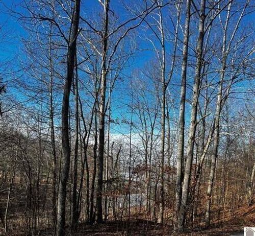 Lot 36 Canton Heights 2 Circle, Cadiz, KY, 42211 | Card Image