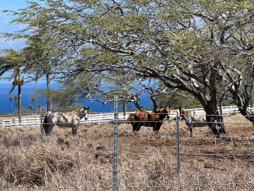 56-2951 Puakea Bay Dr, HAWI, HI, 96719 | Card Image