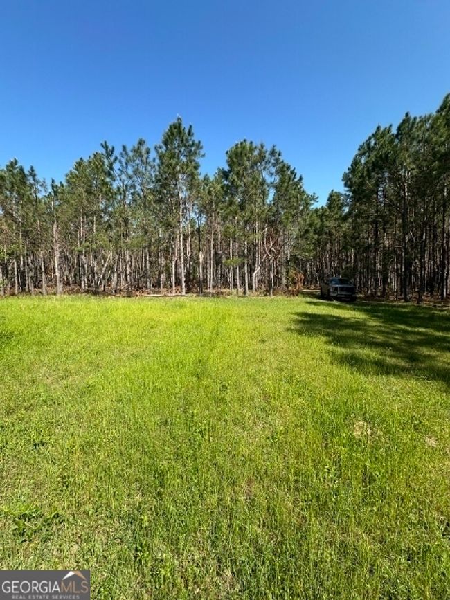 0 Sardis Church Rd, Home with 0 bedrooms, 0 bathrooms and null parking in Kite GA | Image 22