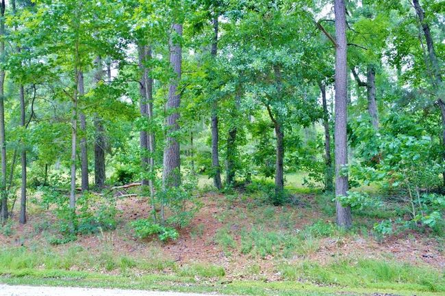 View from street to front of lot. | Image 11