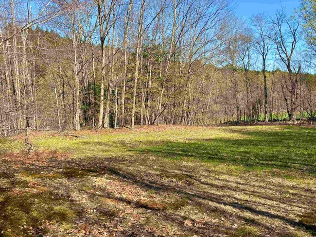 0 Westminster Rd, Home with 0 bedrooms, 0 bathrooms and null parking in Putney VT | Image 7