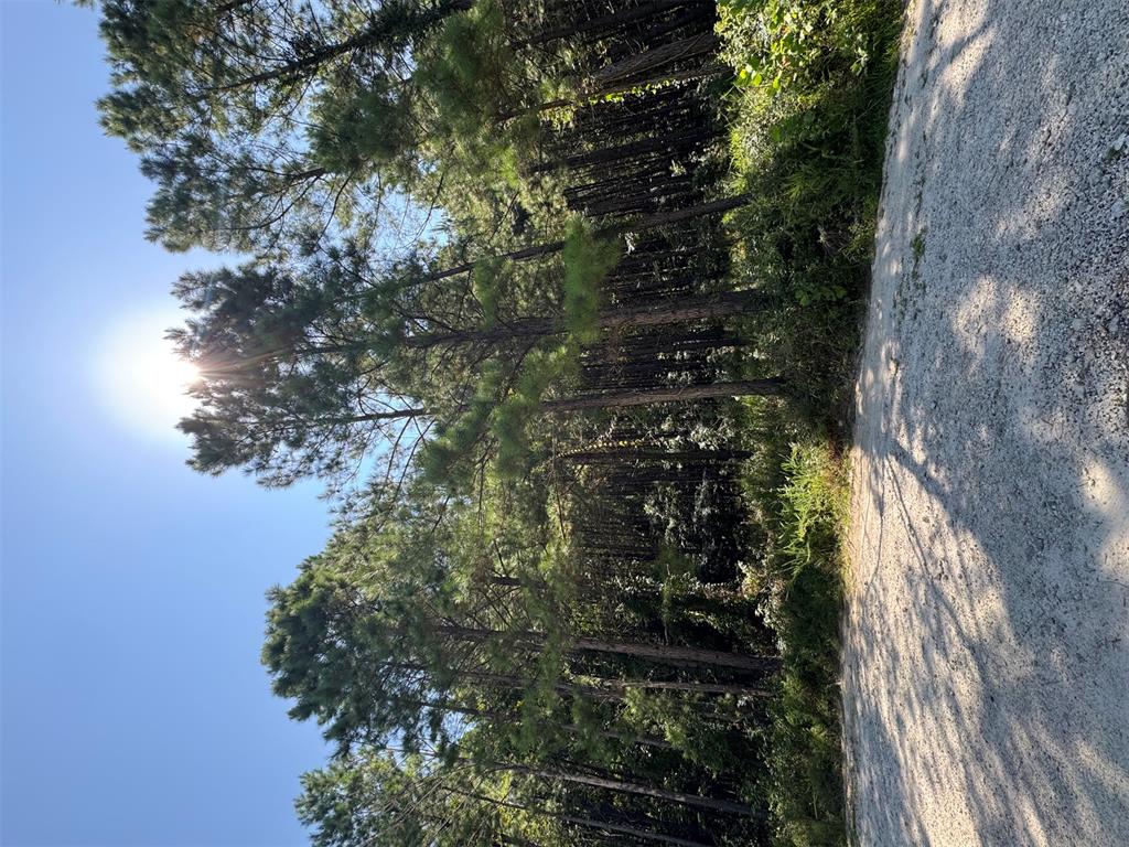 Land in Broken Bow 2