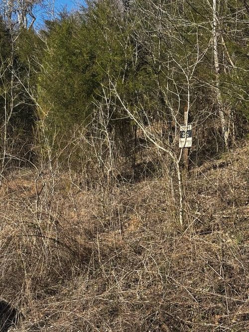 10 Shoreside Dr, Smithville, TN, 37166 | Card Image